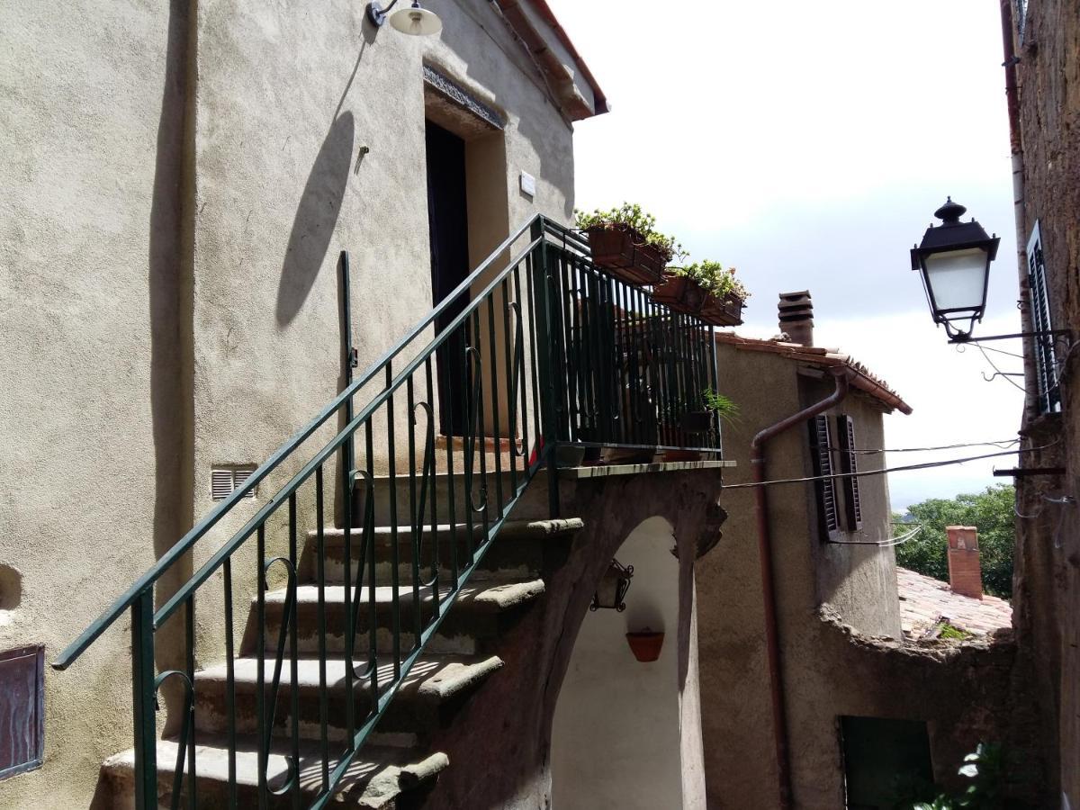 Nido Scansanese * Scansano